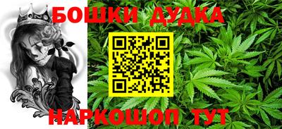 крисы Бузулук
